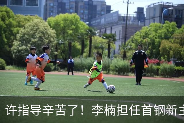 许指导辛苦了！李楠担任首钢新主帅 赵睿态度非争冠唯一障碍