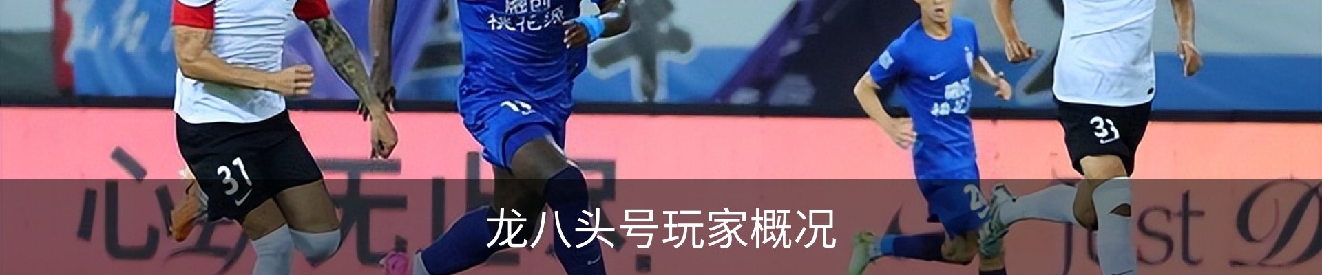 龙八头号玩家概况